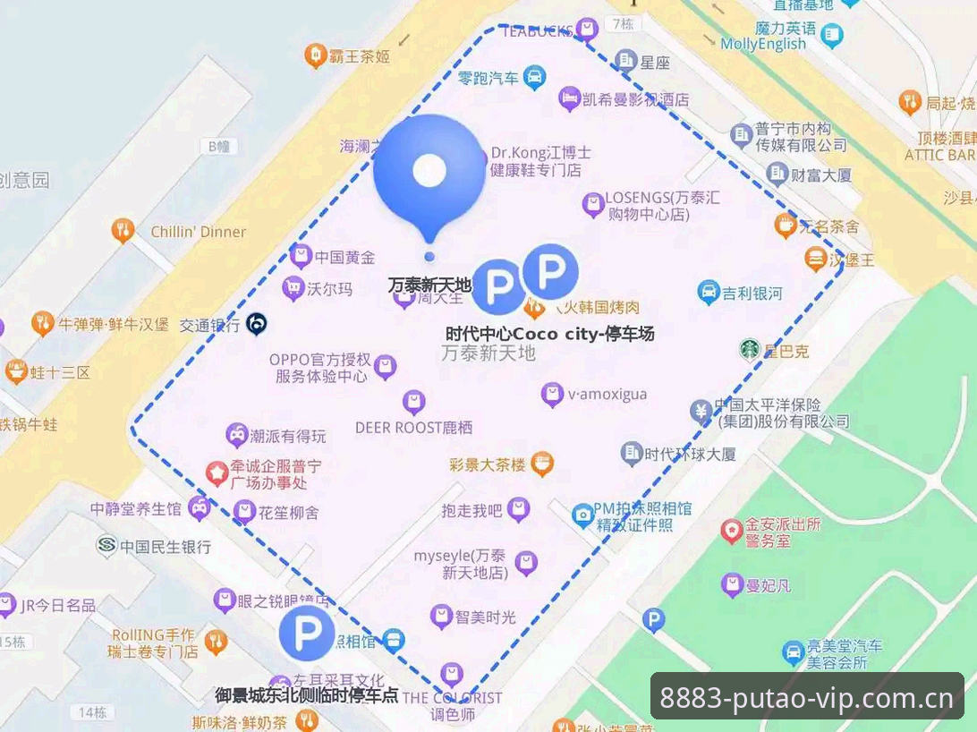 新葡萄体育赛事信息 新葡萄8883平台体育赛事信息全面解析:从数据到实战的全流程指南