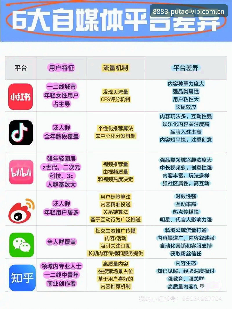 新葡萄8883平台：下载vs网页版，哪个更适合新手入门？全面对比分析